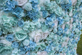 Simulated Blue Rose and Peony Flower Wall Party Wedding Background